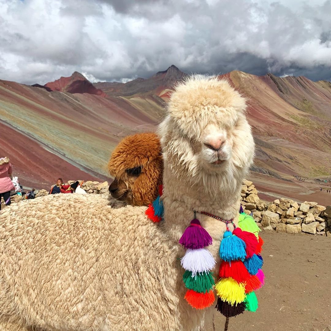 How to visit the mountain of 7 colors | Cusco Machu Picchu